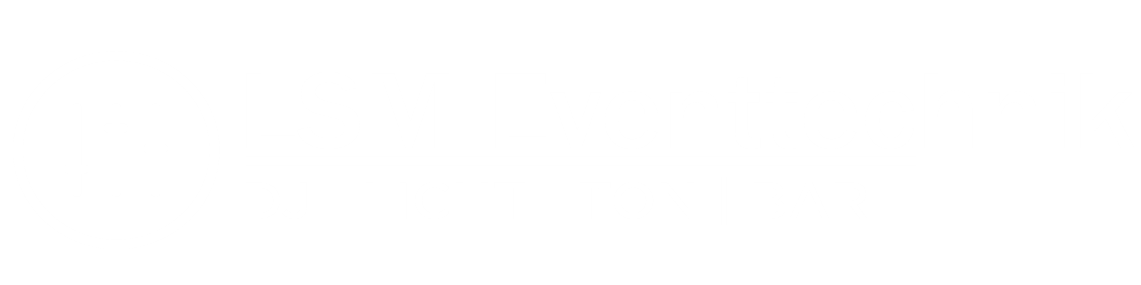 LSM Eventtechnik Logo